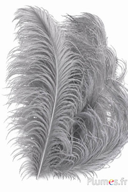 Struzzo premium - 50-60 cm - grigi